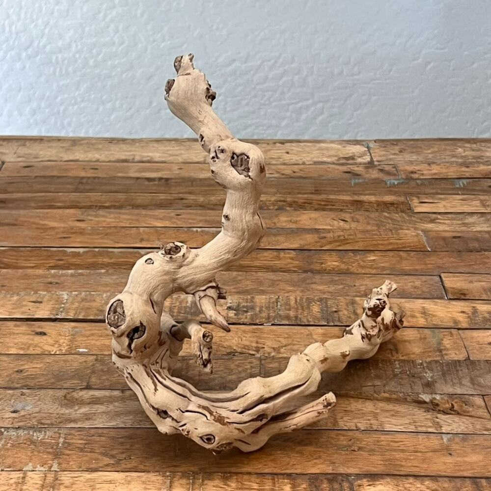 Sandblasted Grapewood Branch Decor Terrarium Accents